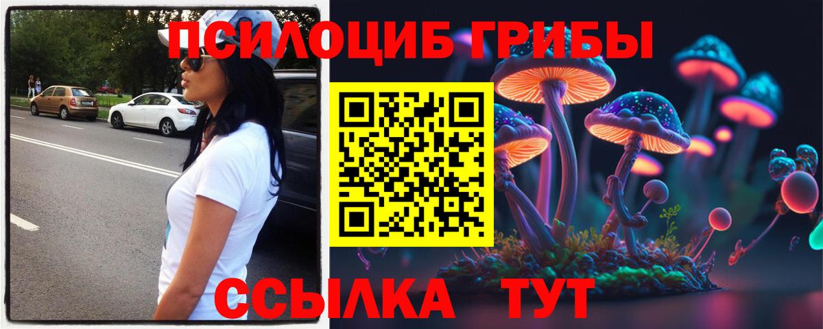 Ставрополь  Псилоцибиновые грибы Magic Shrooms  где купить   Вход с VPN 