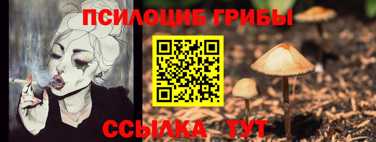 Галлюциногенные грибы Cubensis Ставрополь